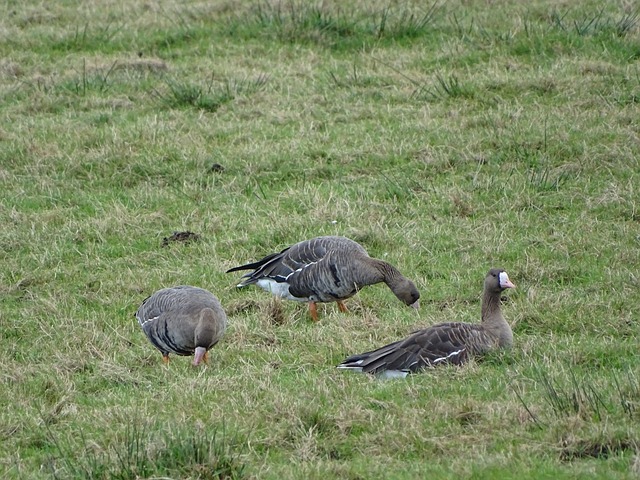 这一选择不 这一选择不