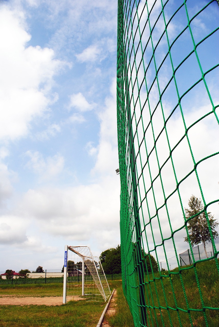 全红婵的前 全红婵的前