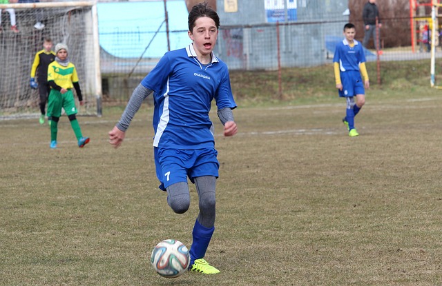 不仅展示了 不仅展示了