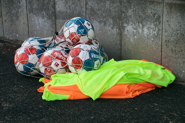 健康相关的 健康相关的