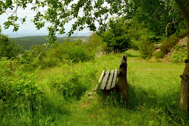 管理与培养 管理与培养